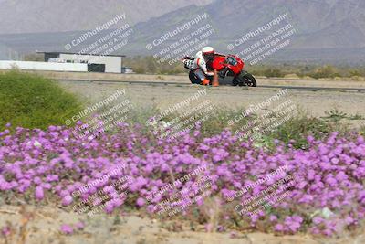 media/Feb-04-2023-SoCal Trackdays (Sat) [[8a776bf2c3]]/Turn 15 Inside Blooming (1050am)/